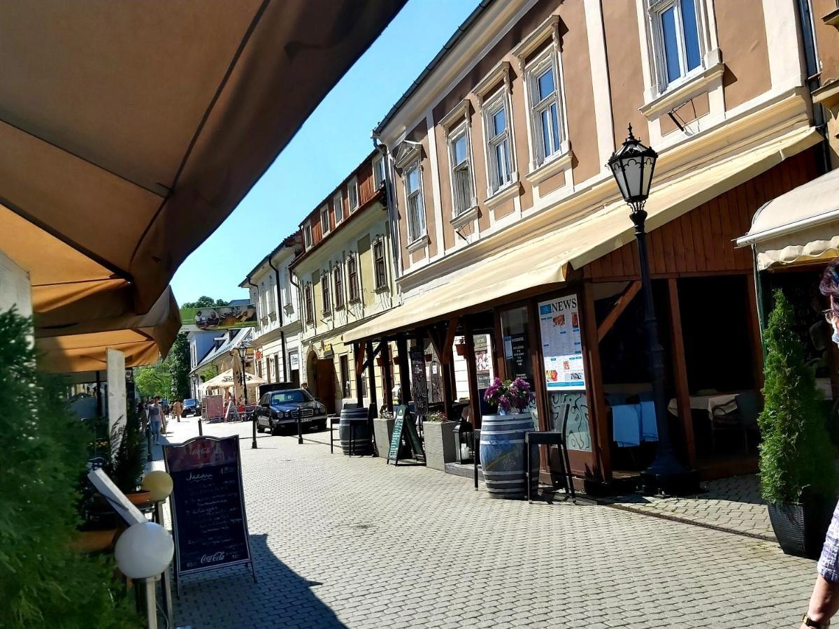 Lena Apartman - Eger Exterior foto